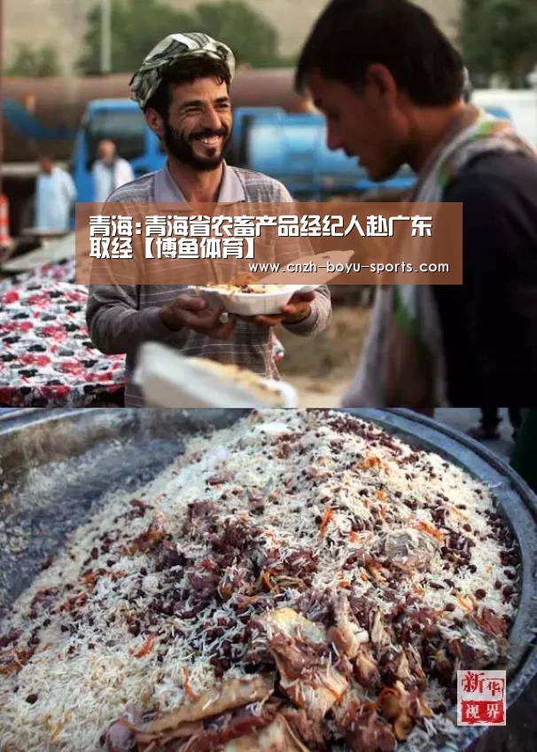  博鱼官网