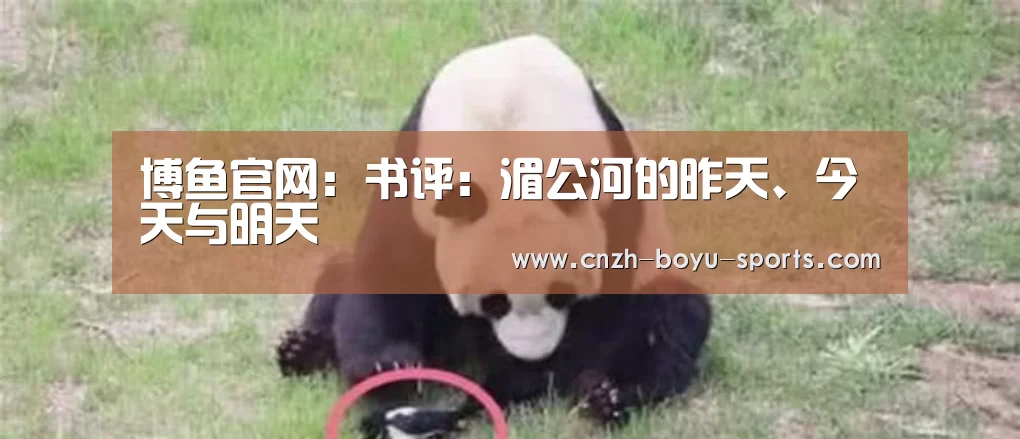  博鱼官网