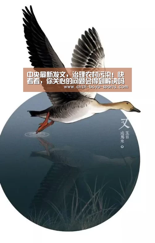  boyu tiyu