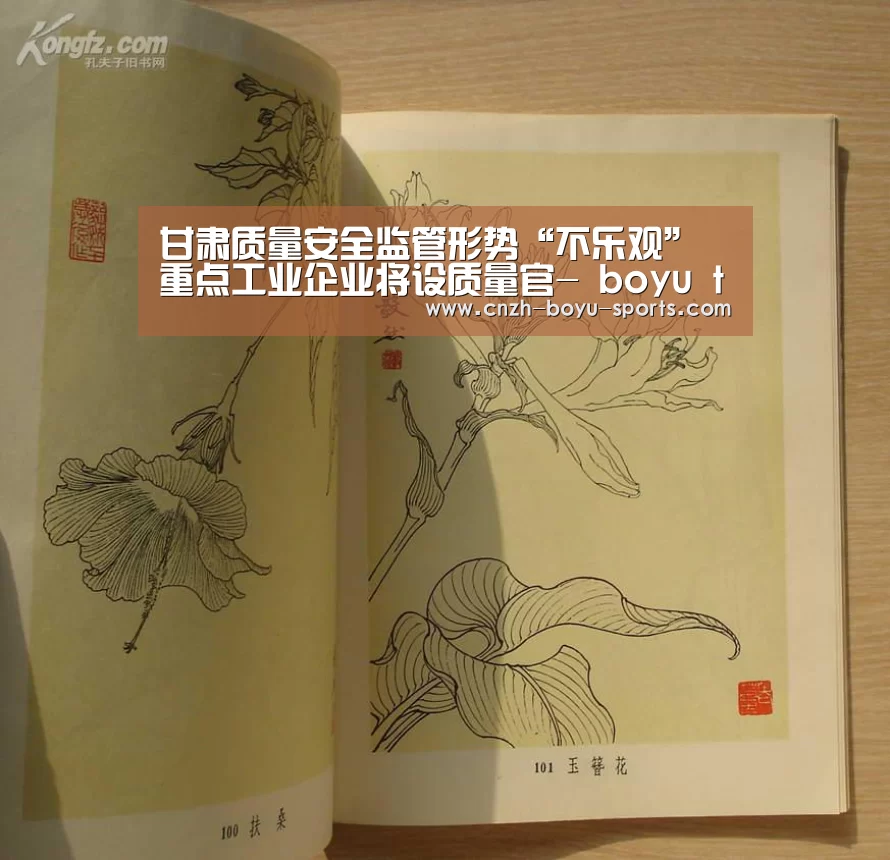 博鱼体育
