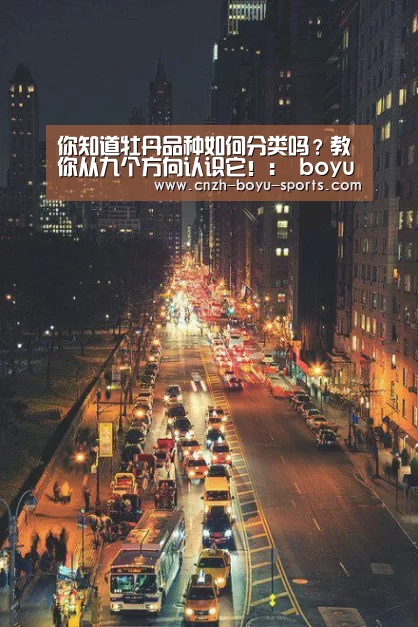  boyu tiyu