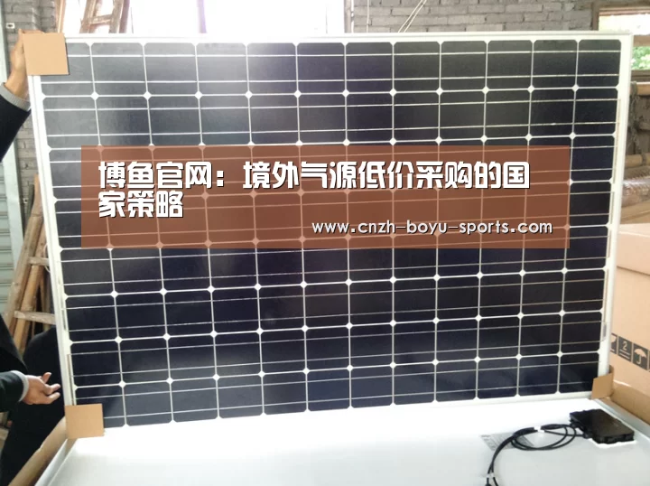 博鱼官网:境外气源低价采购的国家策略(图2) boyu tiyu