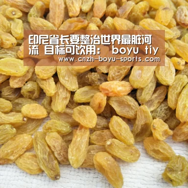  boyu tiyu